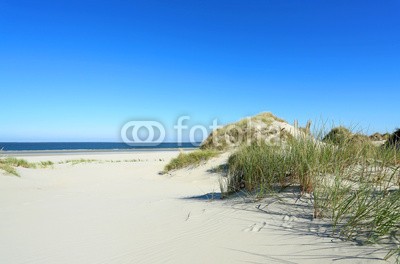 Kara, Stranddünen auf Borkum (sanddünen, sanddünen, sand, sand, stranden, gras, gras, meer, stroh, laub, küste, landschaft, urlaub, urlaub, reisen, strandurlaub, insel, nordsee, flora, grün, natur, umweltschutz, naturschutzgebiet, wildnis, lebensraum, inseln, stille, beschaulichkei)