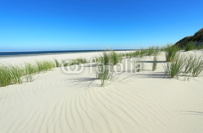 Kara, Borkumer Vordünen (sanddünen, sanddünen, sand, sand, gras, gras, meer, stroh, laub, küste, landschaft, urlaub, urlaub, reisen, strandurlaub, insel, nordsee, flora, grün, natur, umweltschutz, naturschutzgebiet, wildnis, lebensraum, stranden, inseln, stille, beschaulichkei)
