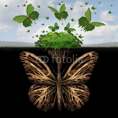 freshidea, Strong Foundation (kreativ, konzept, fundament, standorte, kreativität, freiheit, wurzel, schmetterling, flügel, fliege, fliegender, ausreisen, leaf, pflanze, übertragener ausdruck, symbol, icon, schmetterling, kräfte, magie, klug, surreal, einteilungen, vorstelle)