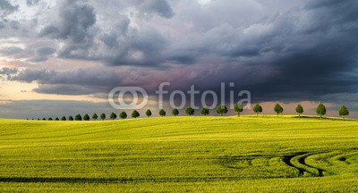 Mike Mareen, passenger ferry.Haken terraces,Szczecin,Poland (feld, meer, sturm, sonnenuntergang, natur, strand, wolken, horizont, trachinotus, schöner, licht, stürmisch, pfeiler, seelandschaft, sonne, welle, farbe, wolken, abend, küste, welle, hintergrund, szene, wetter, sonnenaufgang, froh, rot, jahreszeit, ozea)