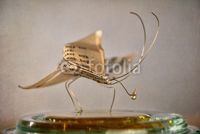 Nailia Schwarz, Paper Butterfly (schmetterling, miniature, figurine, tischplatte, motte, stilleben, papier, draht, metall, fäden, honig, süss, ernährun)