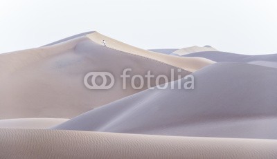 inigocia, Sahara dunes (sand, oden, sanddünen, sahara, leute, gehend, sommer, himmel, afrika, sanddünen, natur, blau, marokko, person, reisen, 1, draußen, tage, tourismus, froh, hitze, trocken, einsamkeit, fussspuren, schöner, hot, touristen, schönheit, bergkamm, weit)