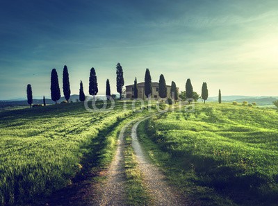 Iakov Kalinin, Classic Tuscan views in spring sunset time,  Pienza, Italy (hügel, italien, ackerbau, bauernhaus, ländliche, landschaft, toskana, zypresse, landschaft, haus, szenerie, natur, wiese, frühling, feld, baum, toskana, bauernhof, italienisch, gärten, toskana, europa, sommer, himmel, villa, dunst, schönhei)