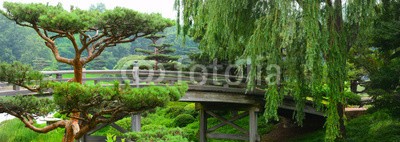 David Smith, Bridge crossing over a flowing river leading to a Japanese Garde (gärten, japanisch, brücke, natur, oregon, schönheit, landschaft, park, füße, backgrounds, flüsschen, teich, asiatisch, architektur, nebelig, portland, zen, herbst, morgens, botanisch, entwerfen, grün, farbe, gartenarbeit, japan, wasser, baum, river)