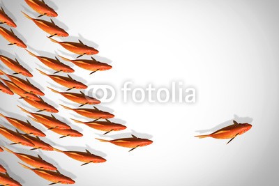 microstocker, business conceptual (marin, bewegung, haustier, flüssigkeit, ausreisen, jump, anführer, springen, probleme, rosig, tropisch, unterwasser, wasser, tank, schwimmen, lösung, platsch, sprung, isoliert, konzeptionell, sehnsucht, entfliehen, konzept, herausforderung, aquariu)