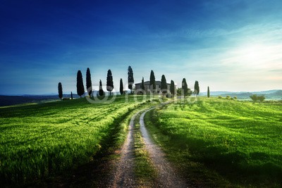 Iakov Kalinin, Classic Tuscan views in spring sunset time,  Pienza, Italy (hügel, italien, ackerbau, bauernhaus, ländliche, landschaft, toskana, zypresse, landschaft, haus, szenerie, natur, wiese, frühling, feld, baum, toskana, bauernhof, italienisch, gärten, toskana, europa, sommer, himmel, villa, dunst, schönhei)