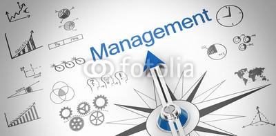 Coloures-pic, Management (manage, auskunft, system, business, dienstleistungen, betrieb, lösung, consulting, daten, software, konzept, backgrounds, marketing, finanz-, strategie, erfolg, erfolgreiche, bibel, kompass, tex)