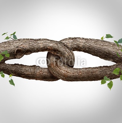 freshidea, Strong Chain Concept (trust, stärke, solid, baum, baumstamm, natur, 2, partners, schleife, department, hitch, freundschaft, symbol, heirat, fidelity, streit, zäh, ewig, bindung, tension, kette, reliance, faith, zuversicht, gefesselt, support, icon, connection, relatione)