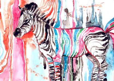 okalinichenko, zebra (zebra, schöner, gestreift, tier, säugetier, weiß, stehendes, wild, haustier, ín, schauend, backgrounds, wildlife, 1, schwarz, farbe, pflanzenfressend, safarie, anblick, schwanz, draussen, lebend, coloured, hufe, schönheit, organismus, mähne, tierpar)