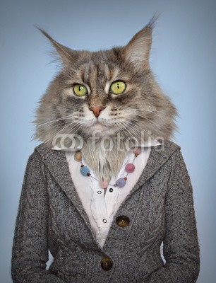 cranach, cat in clothes (tier, anthropomorphismus, kunst, bluse, karte, katze, lei, charakter, stadt, kleidung, kühl, kostüm, kreativ, entwerfen, verkleiden, garniert, gestalten, weiblich, spassig, pelz, mädchen, glamour, grau, hipster, menschlich, abbild, frau, blic)
