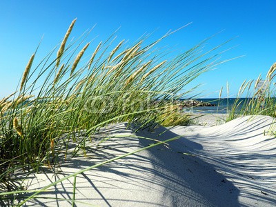 ExQuisine, Düne mit Dünengras am Meer (nordsee, ostsee, sanddünen, sand, gras, reisen, beschaulichkeit, sand, sommer, sommerferien, stranden, strandurlaub, tourismus, urlaub, straßen, sanddünen, entspannung, erholung, urlaub, gesundheit, backgrounds, küste, meer, ocean view, strandkor)