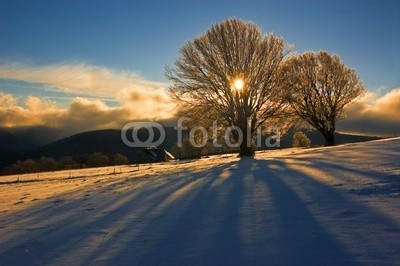 danielschoenen, Winterlandschaft 2 (sonne, sonnenstrahl, winter, schnee, black forest, weiß, weiß, wintersports, langlauf, hiking, erholung, urlaub, urlaub, hintergrund, baum, winterlandschaft, weihnachten, natur, blau, himmel, blue sky, horizont, einsamkeit, kalt, klar, sauber, frisc)