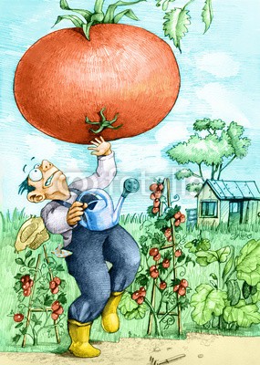 nuvolanevicata, farmer and tomato GMO (gemüse, bauer, ackerbau, natur, natürlich, wachsen, landen, agression, essen, ethisch, biologisch, überraschen, gießkannen, mann, zuwachs, riese, abbildung, kunst, backgrounds, konzept, surreal, fantasy, charakter, cartoons, sarkasmu)