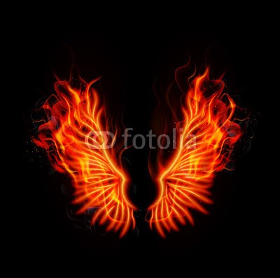 artnovielysa, Fire burning wings (dekoration, fliege, vektor, vögel, rot, hell, lodernd, federn, feurig, zeichnung, brennen, glühen, schwarz, abstrakt, hölle, fantasy, energie, abbildung, flamme, dekorativ, gefährlich, entwerfen, gold, feuer, kunst, effekt, backgrounds, gefahr, hitz)