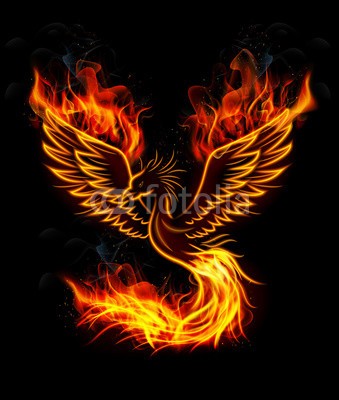 artnovielysa, Fire burning Phoenix Bird with black background (birth, dekoration, fliege, vögel, tribal, wiedergeburt, rot, adler, konzept, zeichen, gelb, kopf, symbol, federn, stark, orange, phoenix, mythologie, spiritual, brennen, schwarz, elegant, fantasy, abbildung, flamme, flügel, angriff, dekorativ, entwerfe)