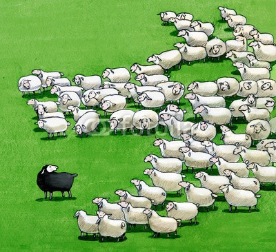 nuvolanevicata, black sheep in the flock (schaf, schwarz, weiß, herde, gruppe, soziales, zusammen, gefahr, angriff, different, einzig, mut, ideen, ethik, ausschluss, eifersucht, vergleich, angst, wölfe, räuber, genossenschaft, ausländer, masse, übertragener ausdruck, konsens, einheit, politi)