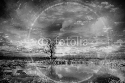 kichigin19, black and white photo autumn landscape (weiß, schwarz, fotografie, landschaft, wald, baum, natur, herbst, himmel, foto, berg, hintergrund, dunkel, fallen, nebelig, jahreszeit, sturm, morgens, wolken, anblick, sonne, moody, tage, sonnenlicht, wetter, landen, wrack, blau, grün, mond, holz, fel)