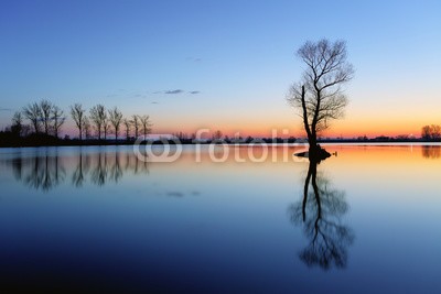 TTstudio, Silhouette tree at sunset in lake (see, sonnenuntergänge, landschaft, wasser, besinnung, schöner, natur, baum, himmel, sunrise, rivers, sonne, afrika, abend, blau, wald, herbst, licht, hell, morgens, sommer, szenerie, wolken, sunlight, frühling, farbe, strand, seeland, neu, romantisc)