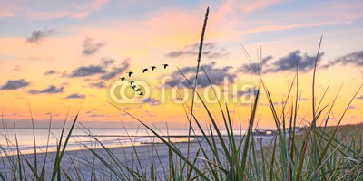 Marco2811, Sonnenuntergang am Strand (urlaub, erholung, meer, wasser, stranden, sommer, sonnenuntergänge, sylt, rügen, usedom, dänemark, see, brücke, connection, ostsee, nordsee, zielen, time out, spaziergang, holzbrücke, welle, himmel, wolken, energie, brennstoff, wellnes)