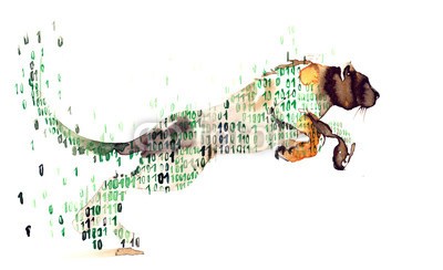 okalinichenko, modern technology (modern, technologie, binär, kode, silhouette, puma, tier, säugetier, katze, farbe, wild, katzen, abbildung, haustier, fleischfresser, computer, gefahr, agression, cyberspace, daten, schwarz, nummern, wildlife, codierung, weiß, meldung, abstrakt, symbo)