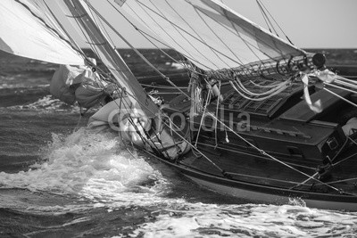 litchi cyril, voiliers (segel, boot, regatta, meer, nautisch, crew, blau, azur, sonne, mittelmeer, früher, zeit, classic, holz, matrosen, matrosen, segelboot, seil, seil, takelage, kupfer, leder, boot, überschrift, erdichtet, stangen, ausnahme, segelboot, brücke, verbinde, ba)