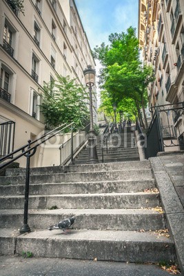 adisa, Montmartre staircase in Paris (montmartre, paris, frankreich, stadt, straße, treppenhaus, treppe, stufen, französisch, gasse, apartment, architektur, gebäude, gebaut, capital, stadtlandschaft, reiseziel, stadtteil, europa, äusseres, fassade, laubwerk, hoch, hügel, geschichte, hau)