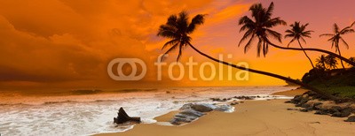 Olga Khoroshunova, Sunset over the sea. Panorama (panorama, sonnenuntergang, strand, meer, hintergrund, ozean, natur, insel, reisen, anblick, himmel, sommer, morgengrauen, banner, landschaftlich, einträchtig, horizont, wasser, sonne, wetter, lang, wolken, abenddämmerung, abend, niemand, horizontal)