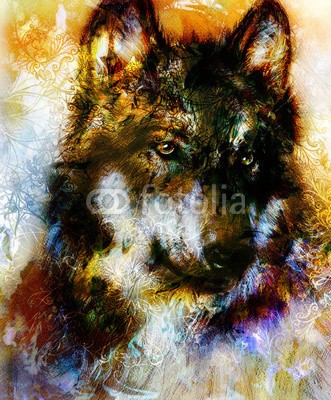 jozefklopacka, Wolf painting, color  background on paper , multicolor illustration. Brown, orange, black and white color. (hintergrund, kunst, malerei, farbe, abbildung, abstrakt, tier, wildlife, portrait, kopf, freiheit, zeichnung, körper, canvas, profile, bild, einheimisches, schöner, spirit, öl, mystisch, magisch, auge, collage, süss, königlich, artwork, konzept, umwel)