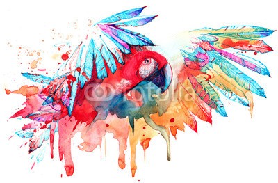 okalinichenko, parrot (papagei, hell, vögel, flug, tier, fliegender, ara, rot, farbe, wildlife, flügel, haustier, grün, wild, schnäbel, schönheit, natur, ín, gelb, federn, klima, backgrounds, tropisch, weiß, scharlach, multi, klar, anblick, freiheit, 1, flaumi)