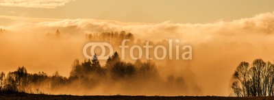 Vera Kuttelvaserova, morning fog and a forest (morgens, nebel, wald, baum, sonne, gelb, orange, rot, sonnenaufgang, sonnenuntergang, abend, sun rays, verzweigt, hell, bunt, farbe, staat, landschaft, morgengrauen, tage, feld, nebelig, laubwerk, landschaft, wiese, nebel, natur, park, ländliche, szen)