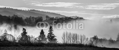 Vera Kuttelvaserova, morning fog and a forest (morgens, nebel, wald, baum, sonne, sonnenaufgang, sonnenuntergang, abend, sun rays, verzweigt, hell, bunt, farbe, staat, landschaft, morgengrauen, tage, feld, nebelig, laubwerk, landschaft, wiese, nebel, natur, park, ländliche, szene, landschaftlic)