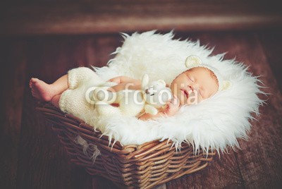 JenkoAtaman, Cute newborn baby in bear hat sleeps in basket with toy teddy be (neugeborenes, baby, spielwaren, bär, teddy, schlafen, unschuld, hübsch, weiß, klein, süss, kind, kind, little, schöner, junge, gesicht, 1, portrait, kaukasier, kindheit, freudig, schönheit, neu, jung, süss, braun, unschuldig, studio, mädche)