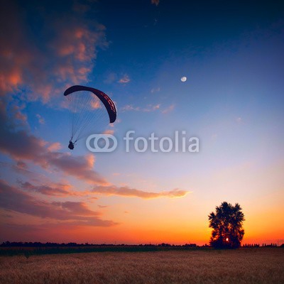 Bashkatov, Paraglide in a sunset sky (fallschirmspringen, mann, fallschirme, sport, fliegender, sunrise, draußen, vale, sonnenuntergänge, freiheit, spaß, reisen, lebensfreude, pike, landen, gefahr, segelflug, flügel, aktion, abenteuer, betätigung, anblick, paragliding, horizontal)