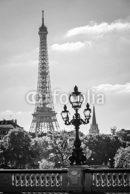 Delphotostock, Street lantern on the Alexandre III Bridge against the Eiffel Tower in Paris, France (paris, eiffelturm, eiffelturm, turm, brücke, straße, reisen, laterne, laterne, town, frankreich, seine, rivers, lampe, orientierungspunkt, attraktion, symbol, hoheitsvoll, laterne, retro, berühmt, architektur, französisch, stadt, landschaftlic)