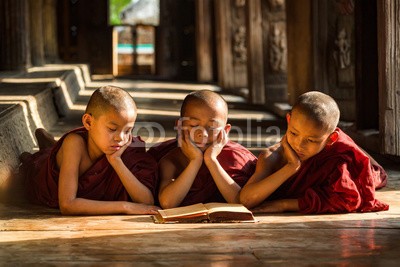 sutiporn, Novice monks are reading book (burma, rangun, laos, bagan, vietnam, kambodscha, mandalay, burma, novize, junge, kind, lesestoff, buch, faith, tempel, drei, gelehrsamkeit, religion, buddhismus, buddhas, poor, ausbildung, monks, asien, tibet, priester, pastor, prediger, kleriker, pasto)