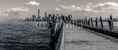 diego, View of Manhattan from Liberty Island (manhattan, new york city, stadt, panorama, architektur, skyline, jahrgang, schwarzweiß, schwarz, weiß, vögel, wolken, landschaf)