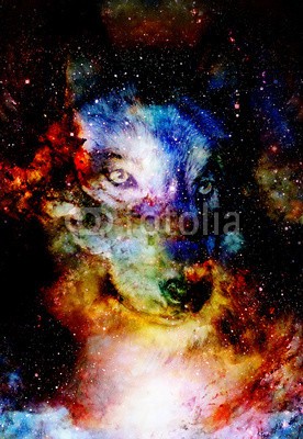 jozefklopacka, magical space wolf, multicolor computer graphic collage (tier, malerei, kosmisch, wölfe, hintergrund, abstrakt, kunst, wildlife, raum, portrait, kopf, freiheit, zeichnung, körper, canvas, profile, bild, einheimisches, schöner, spirit, öl, mystisch, farbe, magisch, auge, abbildung, collage, königlic)