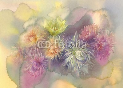 Egle, asters pastel bouquet watercolor (wasserfarben, floral, gärten, blumenstrauss, pflanze, jahrgang, hintergrund, tapete, sommer, natur, äster, frühling, blume, stil, kunst, botanisch, grafik, deko, rosa, dekorativ, bunt, dekoration, retro, textur, romantisch, mustern, weiß, urlau)