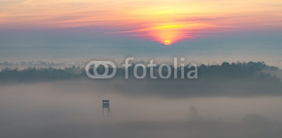 Mike Mareen, misty morning in the valley, the tower hunting (morgens, vale, jagen, sonnenaufgang, jagd, herbst, altweibersomme)