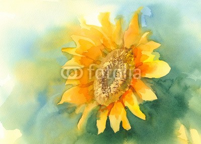 Egle, sunflower on green background watercolor (wasserfarben, gelb, sonnenblume, abbildung, hintergrund, sommer, zeichnung, blume, floral, farbe, kunst, sonne, grün, blühen, gärten, malerei, natur, mustern, wasserfarben, pflanze, schönheit, hell, jahreszeit, farbe, artwork, bunt, jahrgang, abstrak)