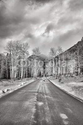 MaciejBledowski, Black and white photo of a rainy road, travel concept (straßen, reisen, schwarzweiß, trip, wald, asphalt, pfütze, regen, moody, natur, landschaft, uns, baum, colorad)