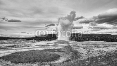 MaciejBledowski, Black and white picture of geyser eruption in Yellowstone National Park, Wyoming, USA. (geysir, yellowstone national park, reisen, eruption, dampf, schwarzweiß, uns, wildnis, landschaft, wyoming, landschaftlich, niemand, outdoors, natur, vulkanisch, panoramisc)