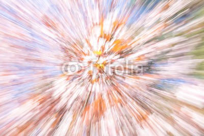 t0m15, Abstract floral explosion background, with zoom panning technique (zoom, mitziehen, methode, vorbild, verwischen, bewegung, floral, baum, kirsche, explosion, ray, raced, konzept, hintergrund, farbe, rosa, blau, blume, natur, posters, grafik, element)