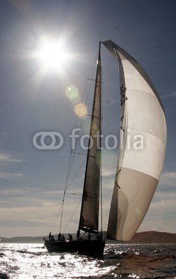 cintrasail, Y3K Spi 1 (yacht, yacht, segel, sonne, meer, regatta, schiff, segelsport, sailing, segel, saint-tropez, wall)