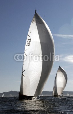 cintrasail, Follow (yacht, wally, maxi, regatta, saint-tropez, segelsport, segelschiff, yacht, segel, segel, mittelmee)