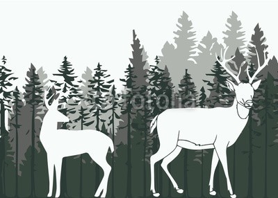 Анна Магляк, deer in the woods (wald, vektor, natur, abbildung, silhouette, hirsch, wildlife, tier, wild, holz, hintergrund, landschaft, säugetier, nebel, rentier, baum, dunkel, winter, schnee, urwald, panoramisch, weihnachten, jagd, weihnachten, geweih, schöner, verzweigt, lif)