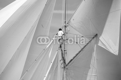 litchi cyril, voiliers (segel, boot, regatta, meer, nautisch, crew, blau, azur, sonne, mittelmeer, früher, zeit, classic, holz, matrosen, matrosen, segelboot, seil, seil, takelage, kupfer, leder, boot, überschrift, erdichtet, stangen, ausnahme, segelboot, brücke, verbinde, ba)