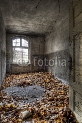 Grischa Georgiew, Herbstdeko (architektur, bejahrt, raum, zimmer, krankenhaus, herbst, blatt, jahreszeit, dekoration, verfallen, krankenhaus, tür, fenster, müll, dreck, umwelt, wand, farbe, abblättern, blättern, schönheit, depression, stimmung, umweltverschmutzung, zei)