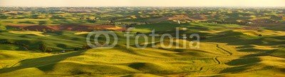 bvuhh, Palouse Hills (palouse, washington, uns, welle, hügel, vale, welle, farmland, landschaft, corn, panoram)