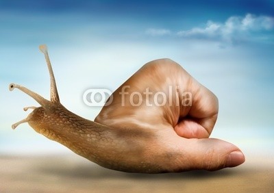 Paul Fleet, Surreal snail (schnecke, hand, surreal, faust, landschaft, himmel, schale, schleimig, merged, zwitter, träge, finger, kunst, abbildung, weichtier, weichtier, aufgewickelt, fangarme, stiel, spiralförmig, braun, merkwürdig, seltsam, illusion, vorstellung, trau)